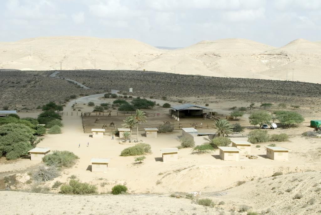 Negev Camel Ranch Villa Dimona Exterior photo